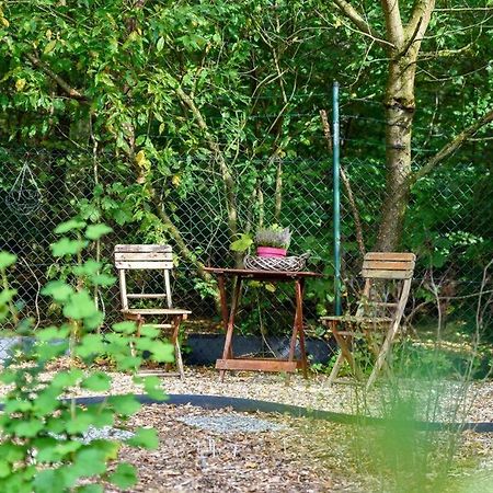Spacious Wooden Cottage With Infra-Red Sauna At Veluwe بوتِنْ المظهر الخارجي الصورة